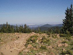 View from Mt Phillips